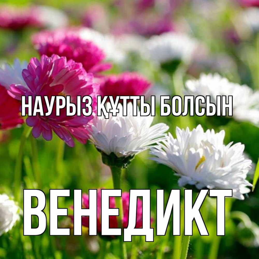 Күн сайын ашық хат с именем, Венедикт Наурыз құтты болсын наурыз Онлайн тегін жүктеп алу тілектері бар керемет карта 