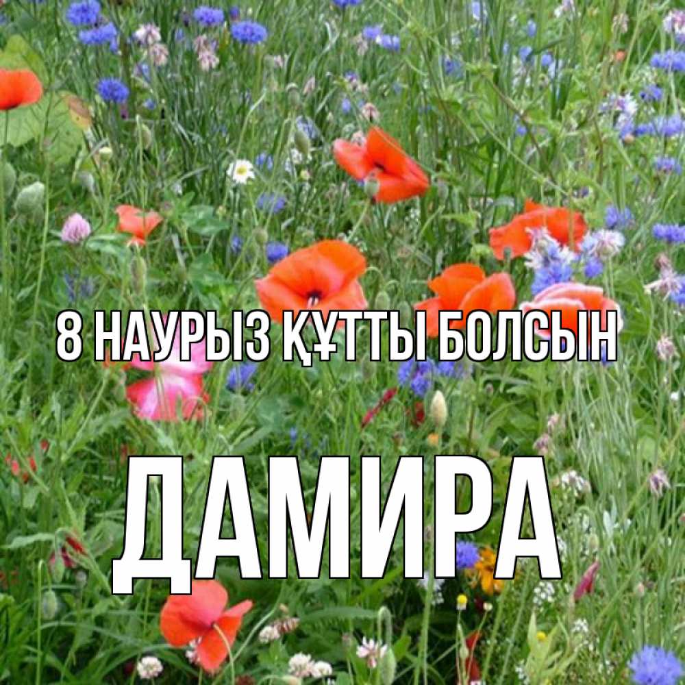 Күн сайын ашық хат с именем, ДАМИРА 8 наурыз құтты болсын международный женский день 4 Онлайн тегін жүктеп алу тілектері бар керемет карта 