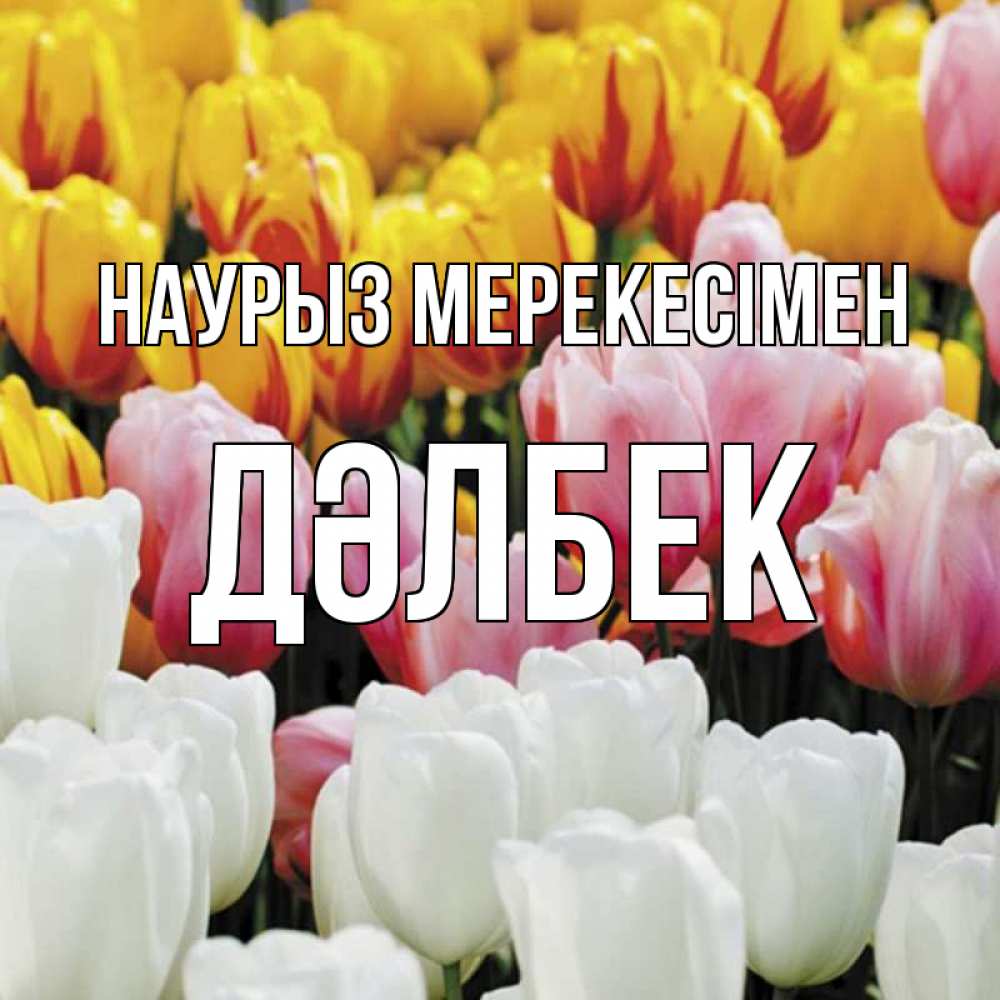 Күн сайын ашық хат с именем, Дәлбек Наурыз мерекесімен разноцветные цветы Онлайн тегін жүктеп алу тілектері бар керемет карта 