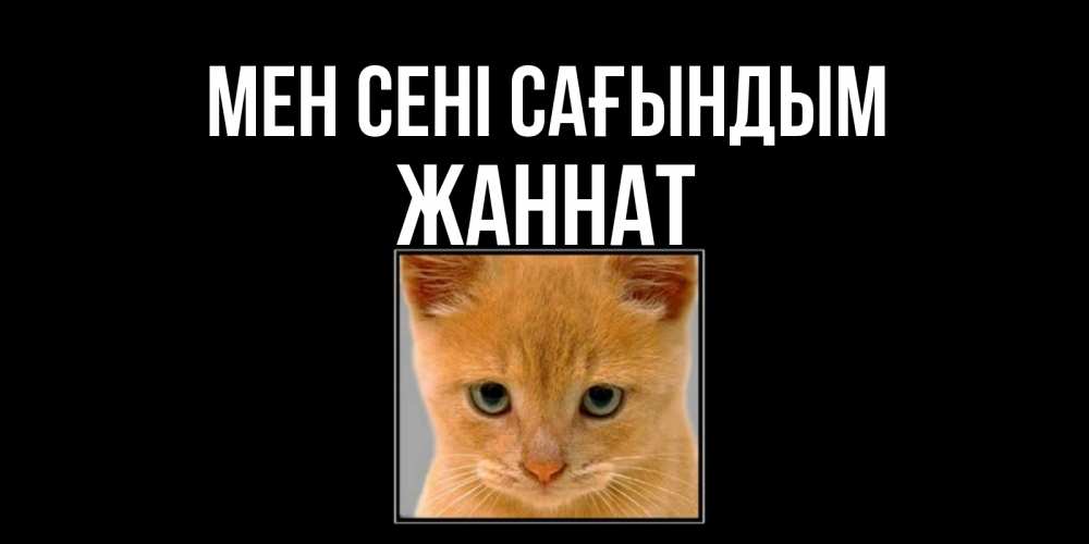 Күн сайын ашық хат с именем, ЖАННАТ Мен сені сағындым открытки рыжий котенок скучает по тебе Онлайн тегін жүктеп алу тілектері бар керемет карта 