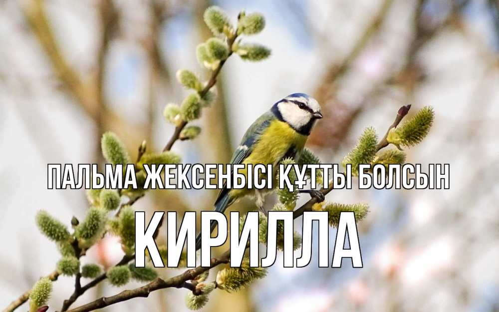 Күн сайын ашық хат с именем, Кирилла Пальма жексенбісі құтты болсын верба Онлайн тегін жүктеп алу тілектері бар керемет карта 