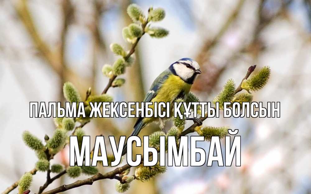 Күн сайын ашық хат с именем, МАУСЫМБАЙ Пальма жексенбісі құтты болсын верба Онлайн тегін жүктеп алу тілектері бар керемет карта 