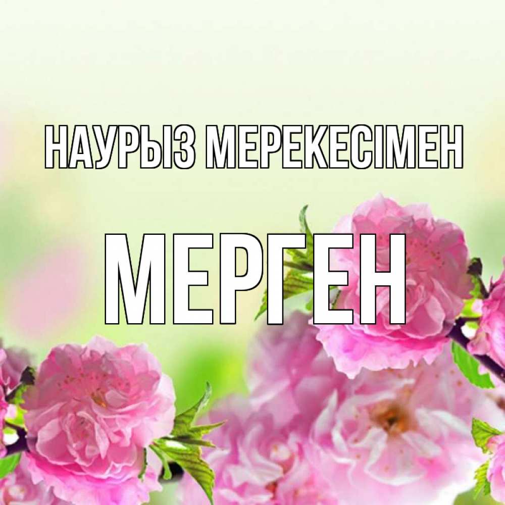 Күн сайын ашық хат с именем, МЕРГЕН Наурыз мерекесімен цветы Онлайн тегін жүктеп алу тілектері бар керемет карта 