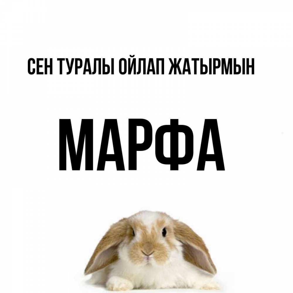 Күн сайын ашық хат с именем, Марфа Сен туралы ойлап жатырмын подписать своими руками онлайн Онлайн тегін жүктеп алу тілектері бар керемет карта 