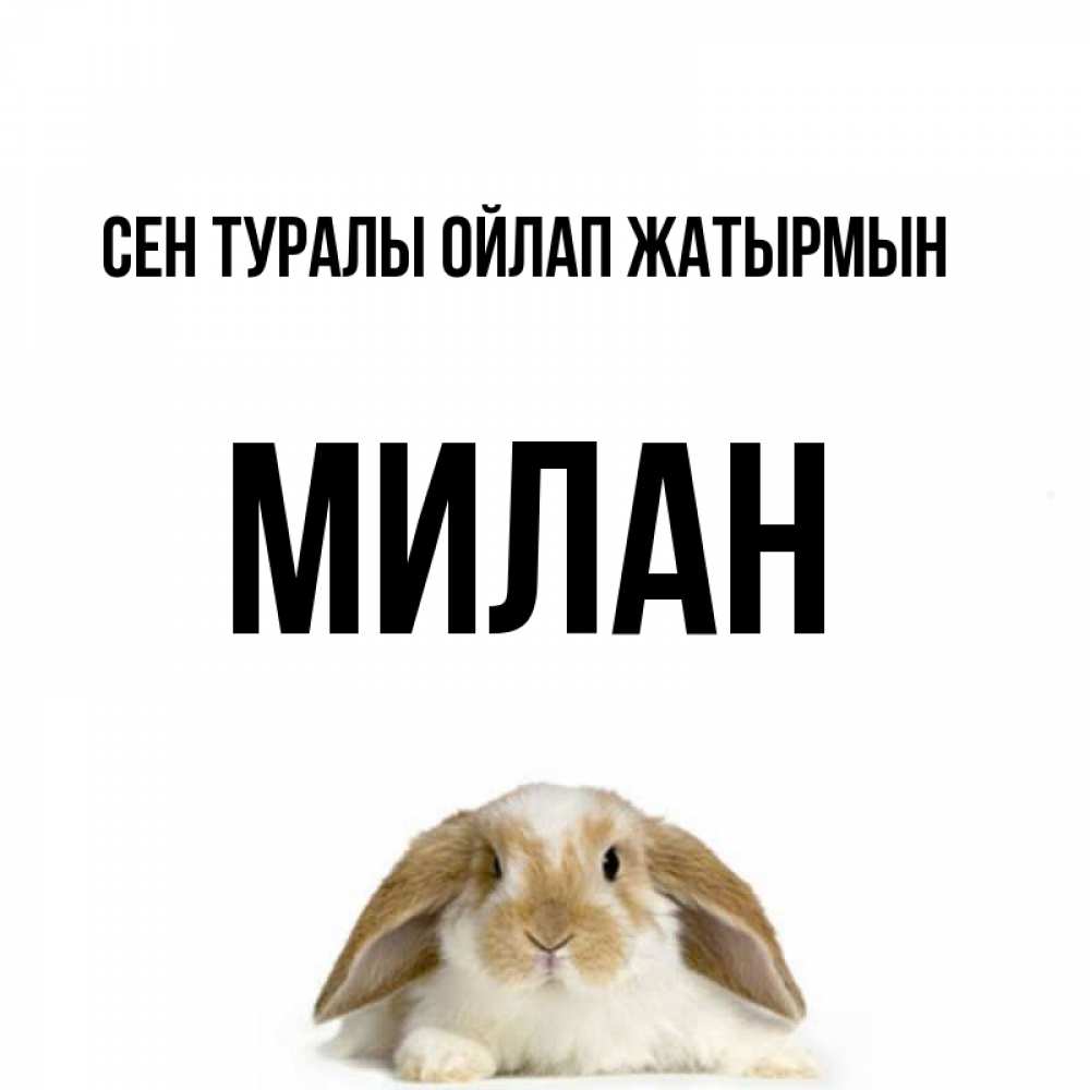 Күн сайын ашық хат с именем, Милан Сен туралы ойлап жатырмын подписать своими руками онлайн Онлайн тегін жүктеп алу тілектері бар керемет карта 
