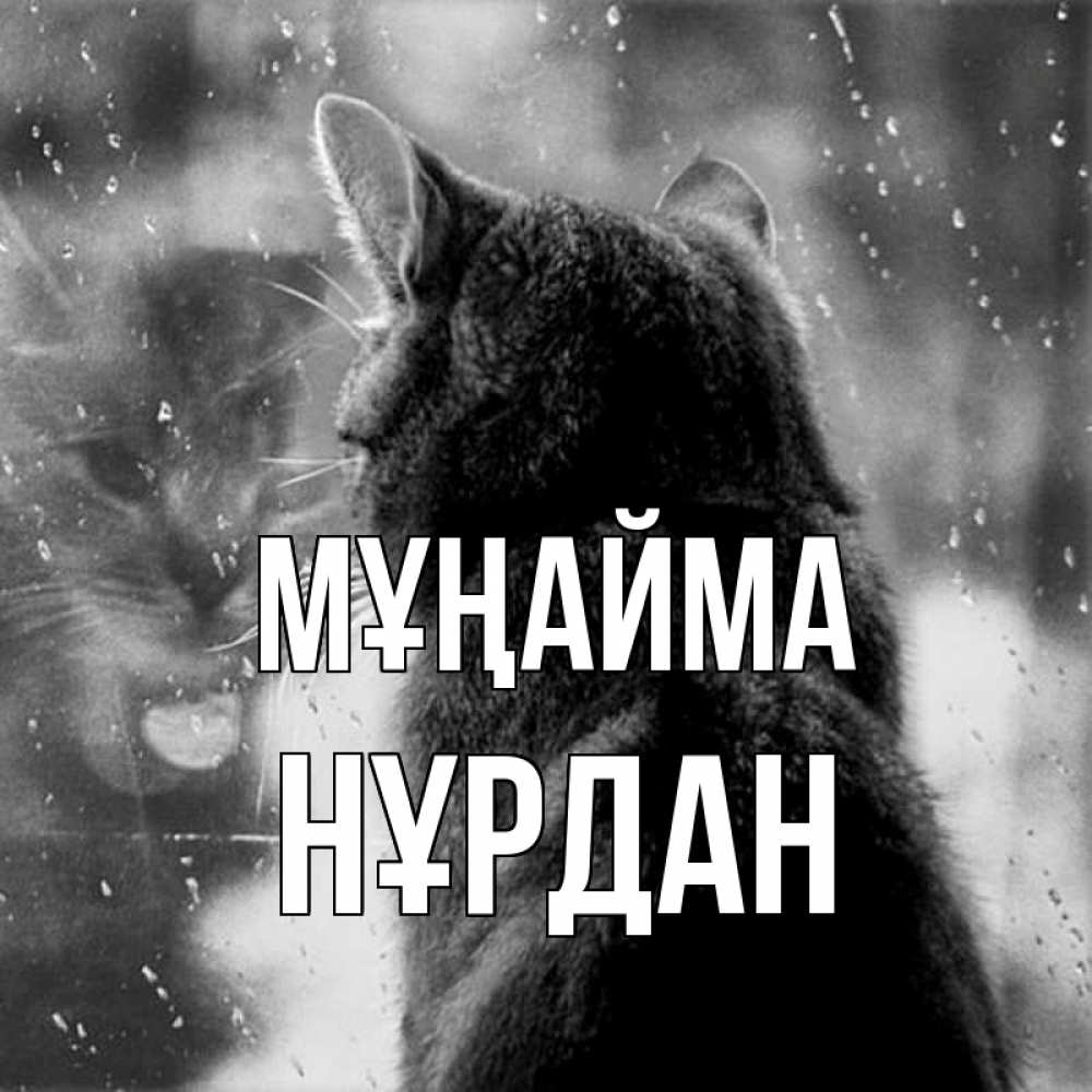 Күн сайын ашық хат с именем, НҰРДАН Мұңайма отражение кота 1 Онлайн тегін жүктеп алу тілектері бар керемет карта 