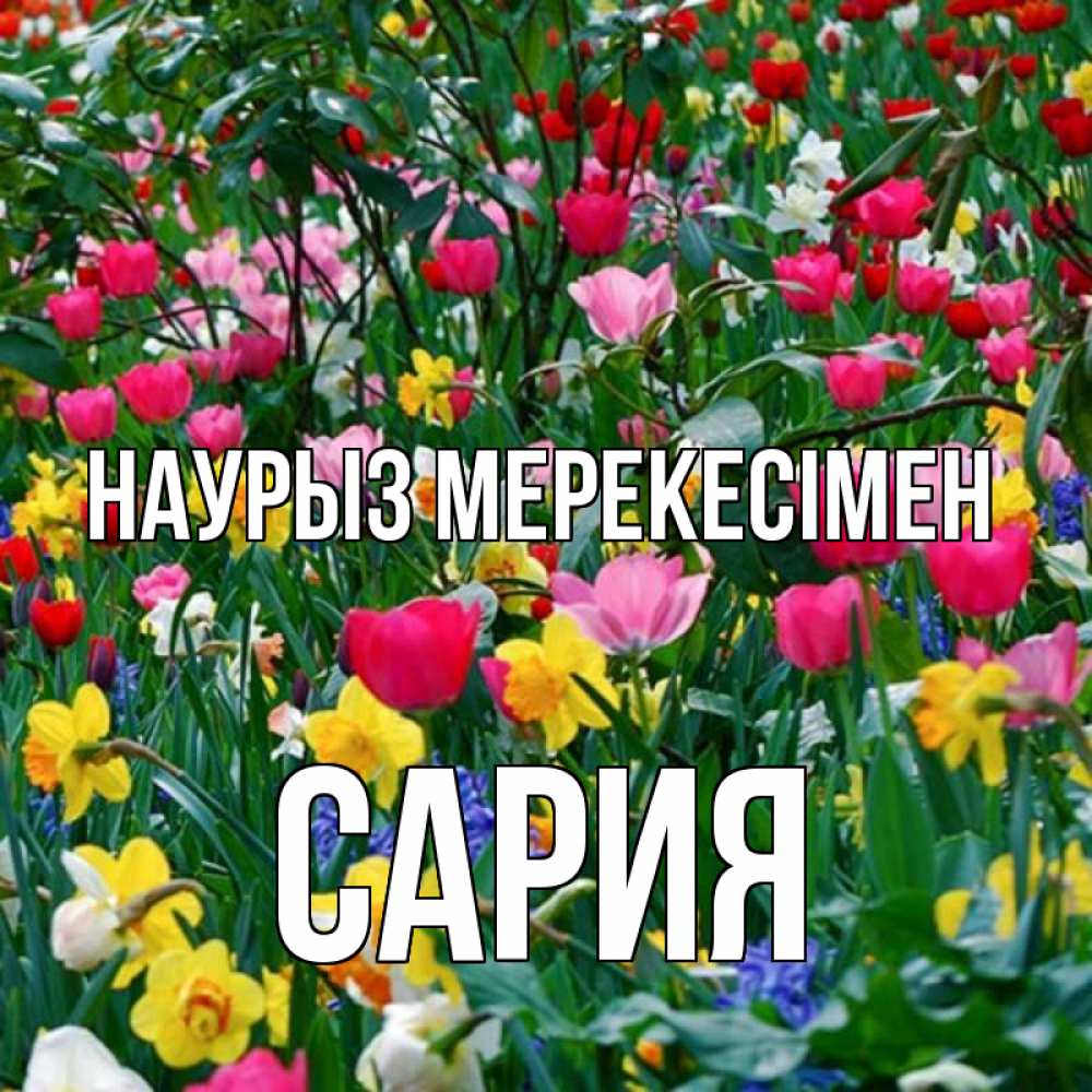 Күн сайын ашық хат с именем, САРИЯ Наурыз мерекесімен с наурызом праздником весны поздравления для женщины Онлайн тегін жүктеп алу тілектері бар керемет карта 