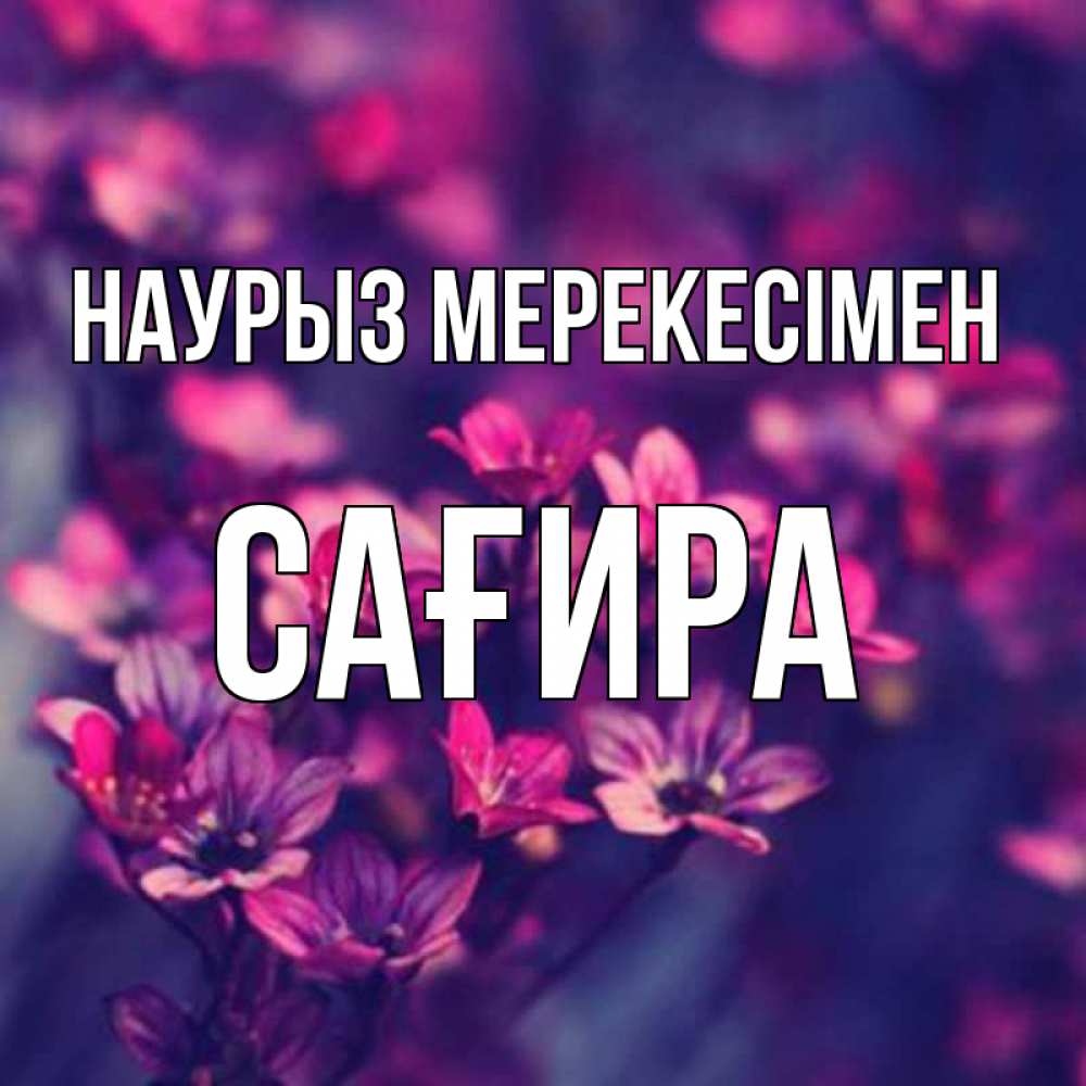 Күн сайын ашық хат с именем, САҒИРА Наурыз мерекесімен небольшие цветы 1 Онлайн тегін жүктеп алу тілектері бар керемет карта 