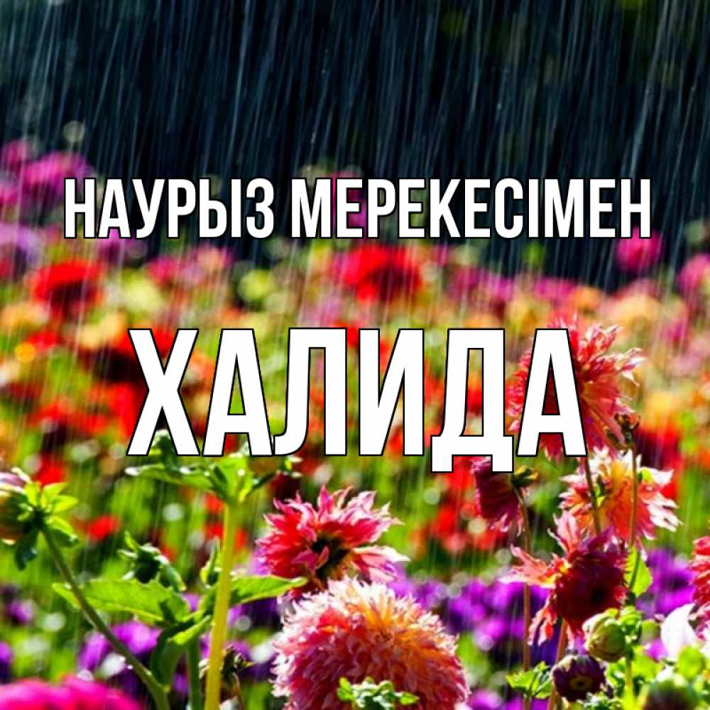 Күн сайын ашық хат с именем, ХАЛИДА Наурыз мерекесімен цветы под дождиком к международному женскому дню Онлайн тегін жүктеп алу тілектері бар керемет карта 