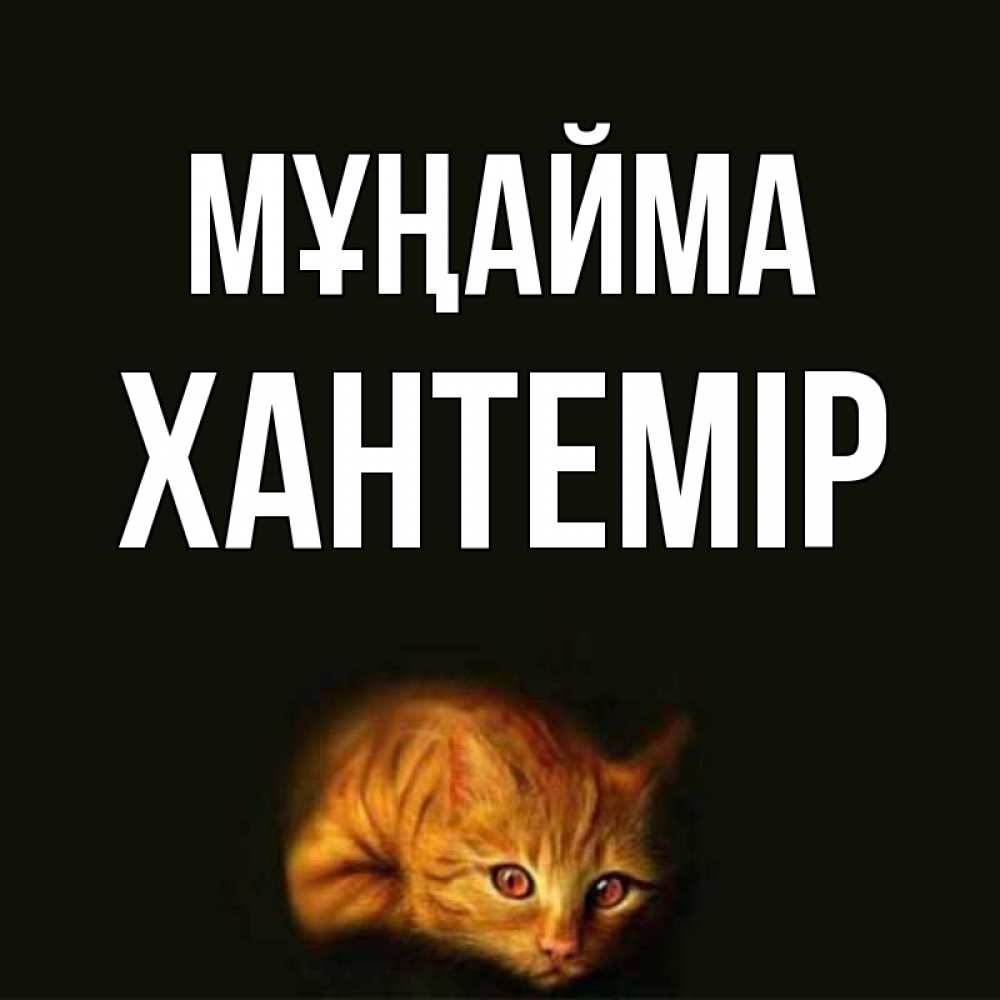 Күн сайын ашық хат с именем, ХАНТЕМІР Мұңайма лежащий кот в темноте Онлайн тегін жүктеп алу тілектері бар керемет карта 