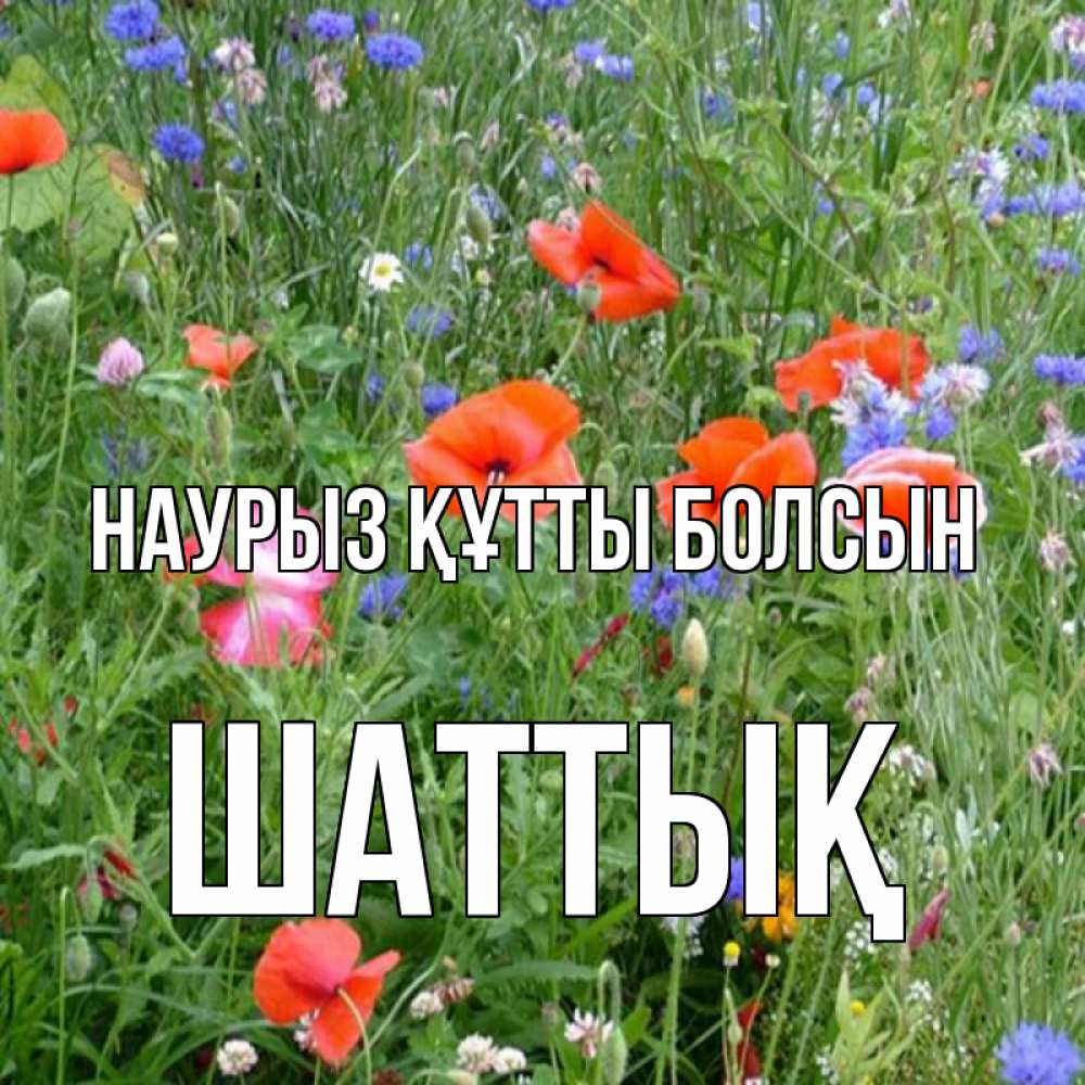 Күн сайын ашық хат с именем, ШАТТЫҚ Наурыз құтты болсын наурыз  4 Онлайн тегін жүктеп алу тілектері бар керемет карта 