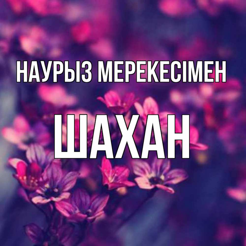 Күн сайын ашық хат с именем, ШАХАН Наурыз мерекесімен небольшие цветы 1 Онлайн тегін жүктеп алу тілектері бар керемет карта 