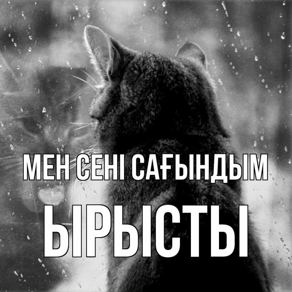 Күн сайын ашық хат с именем, ЫРЫСТЫ Мен сені сағындым скорее ко мне приходи 1 Онлайн тегін жүктеп алу тілектері бар керемет карта 