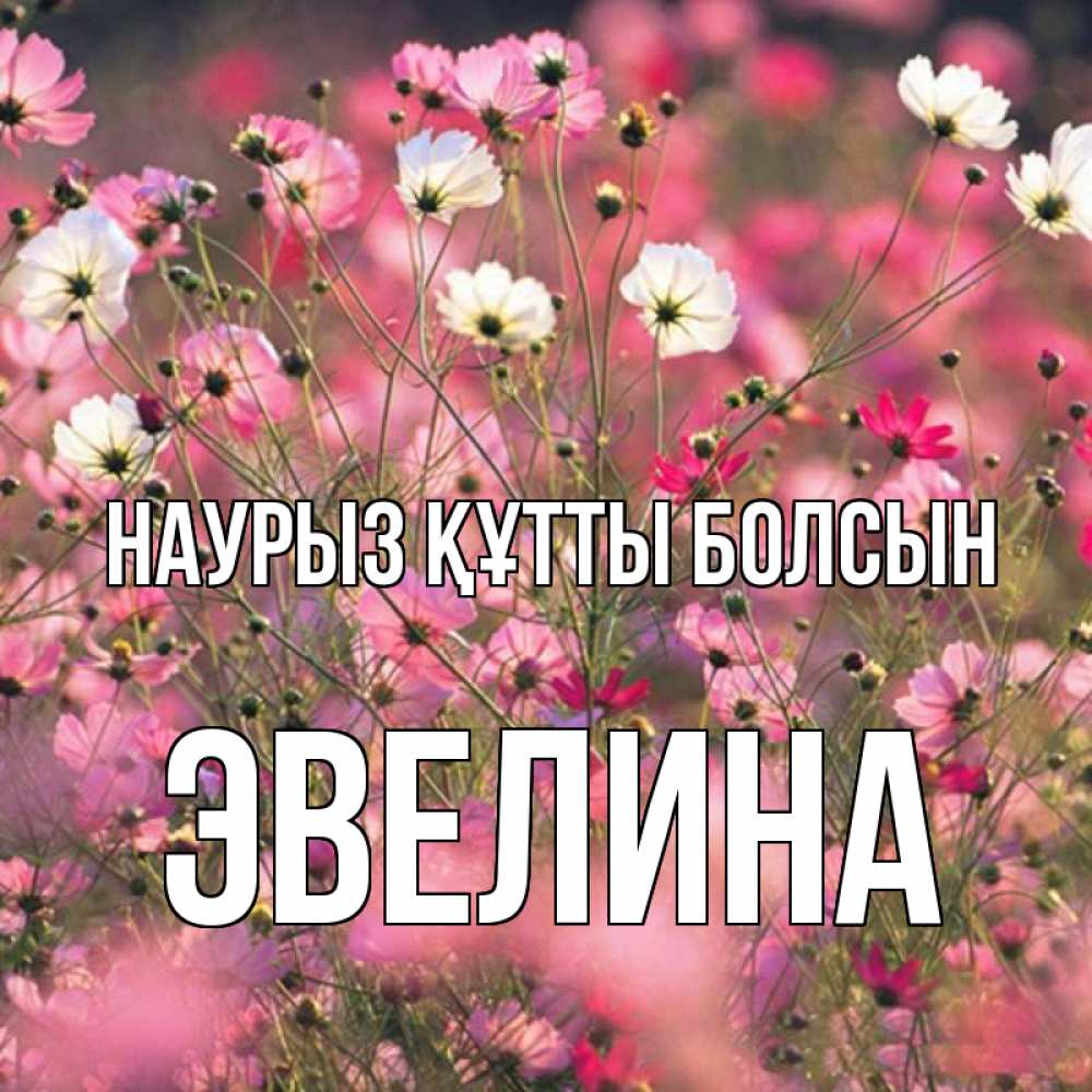 Күн сайын ашық хат с именем, Эвелина Наурыз құтты болсын красиво 1 Онлайн тегін жүктеп алу тілектері бар керемет карта 