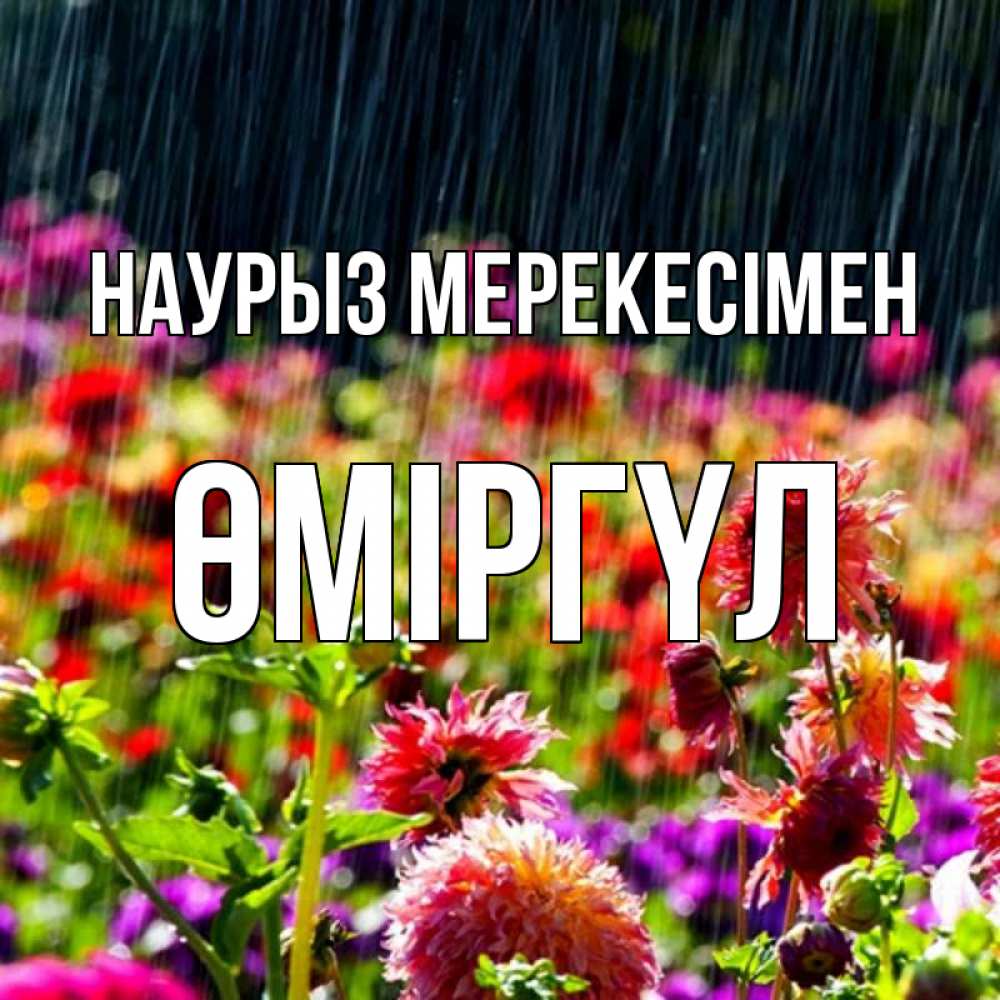 Күн сайын ашық хат с именем, ӨМІРГҮЛ Наурыз мерекесімен цветы под дождиком к международному женскому дню Онлайн тегін жүктеп алу тілектері бар керемет карта 