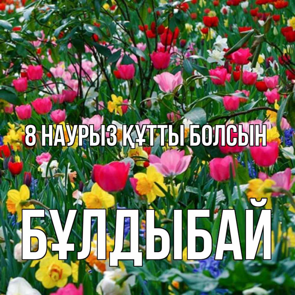 Күн сайын ашық хат с именем, Бұлдыбай 8 наурыз құтты болсын с международным женским днем поздравления для женщины Онлайн тегін жүктеп алу тілектері бар керемет карта 