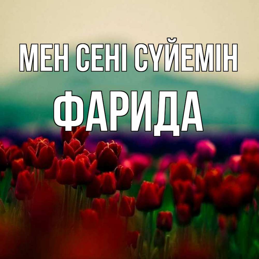 Күн сайын ашық хат с именем, ФАРИДА Мен сені сүйемін тюльпаны 4 Онлайн тегін жүктеп алу тілектері бар керемет карта 