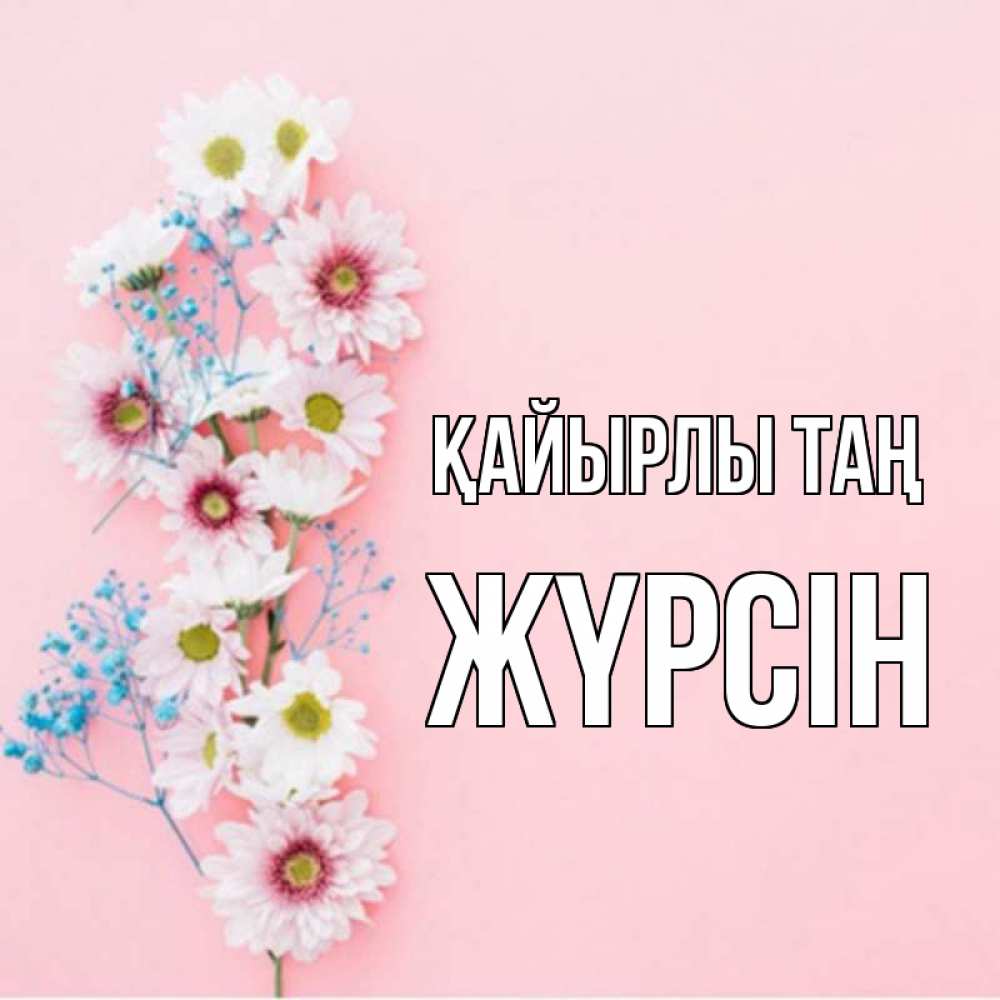 Күн сайын ашық хат с именем, Жүрсін Қайырлы таң цветы с подписью Онлайн тегін жүктеп алу тілектері бар керемет карта 