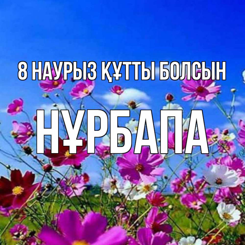 Күн сайын ашық хат с именем, НҰРБАПА 8 наурыз құтты болсын цветы Онлайн тегін жүктеп алу тілектері бар керемет карта 
