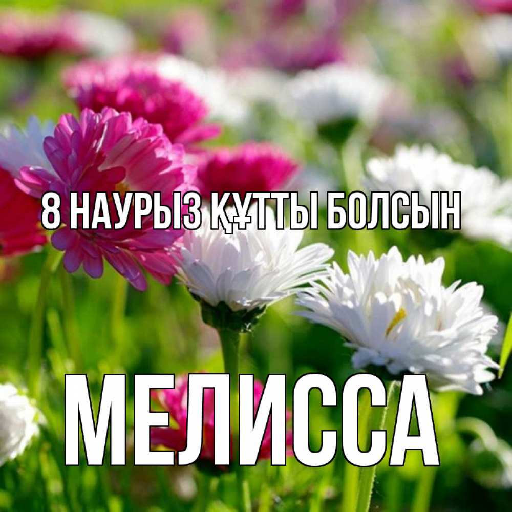 Күн сайын ашық хат с именем, Мелисса 8 наурыз құтты болсын международный женский день 1 Онлайн тегін жүктеп алу тілектері бар керемет карта 