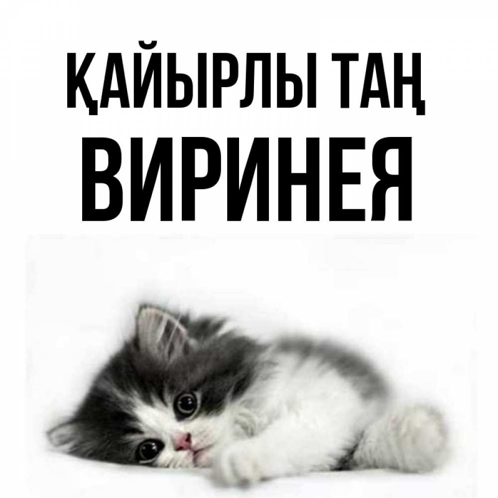 Күн сайын ашық хат с именем, Виринея Қайырлы таң кот лапки Онлайн тегін жүктеп алу тілектері бар керемет карта 