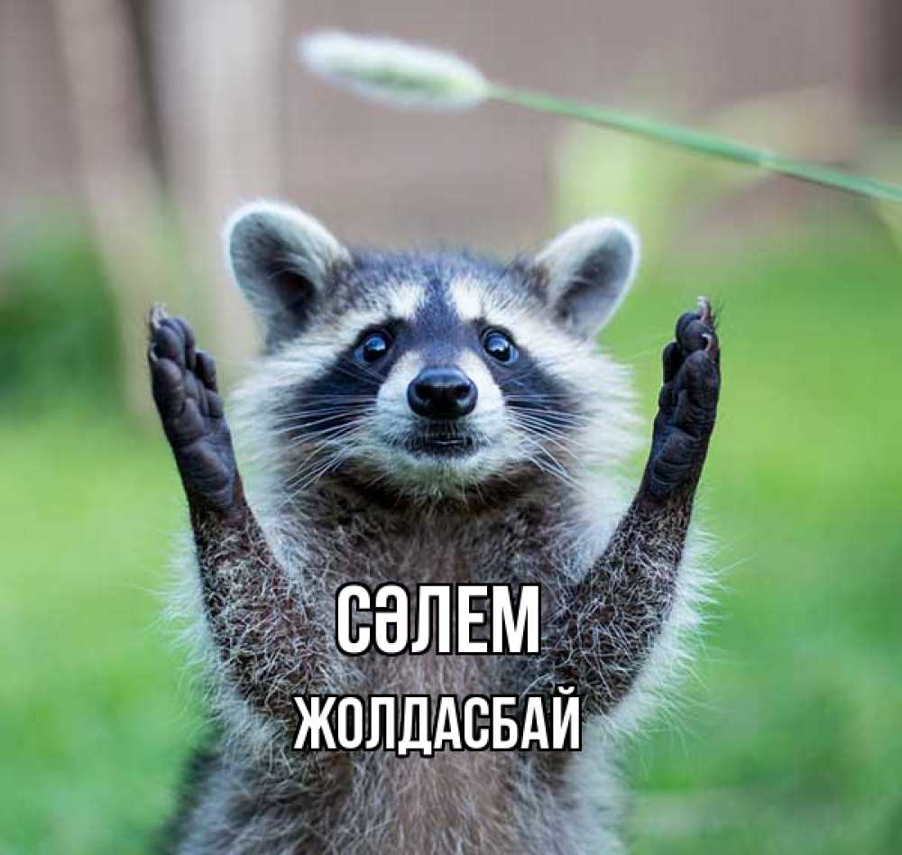 Күн сайын ашық хат с именем, Жолдасбай Сәлем животные Онлайн тегін жүктеп алу тілектері бар керемет карта 