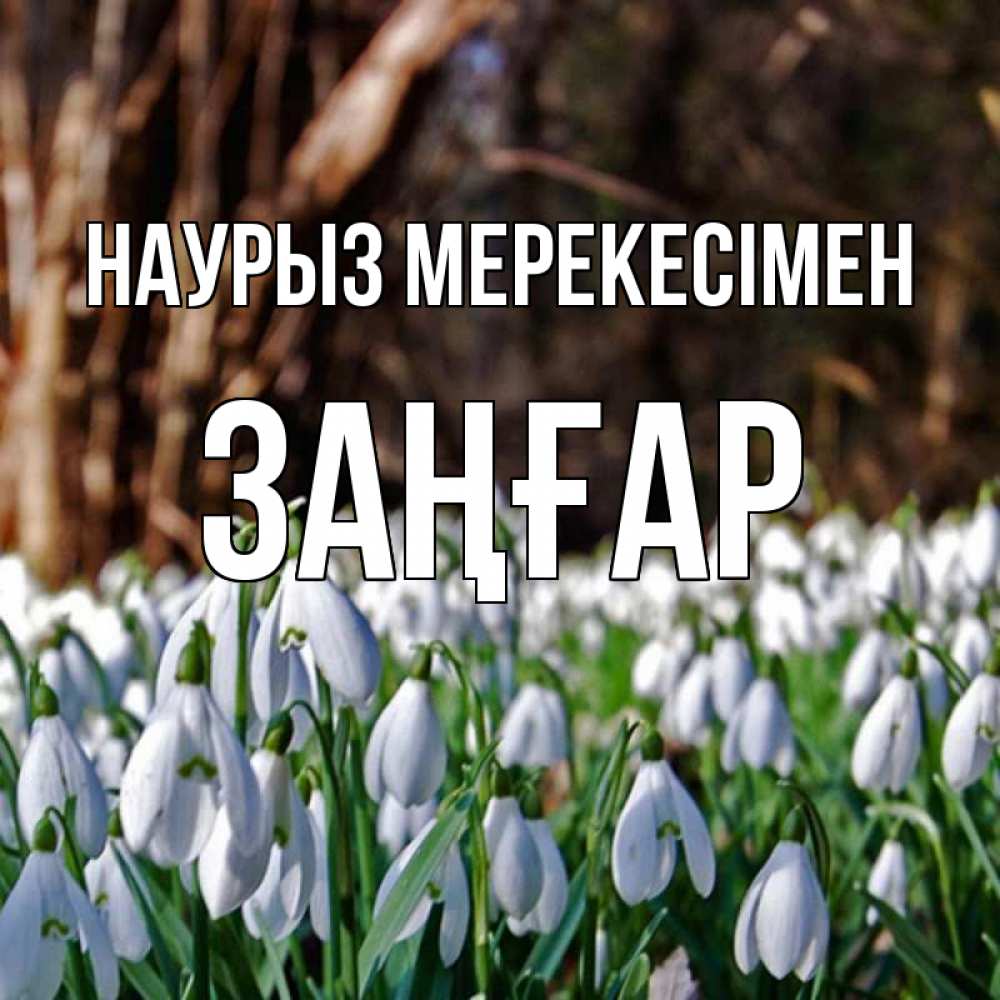 Күн сайын ашық хат с именем, Заңғар Наурыз мерекесімен с подснежниками 1 Онлайн тегін жүктеп алу тілектері бар керемет карта 