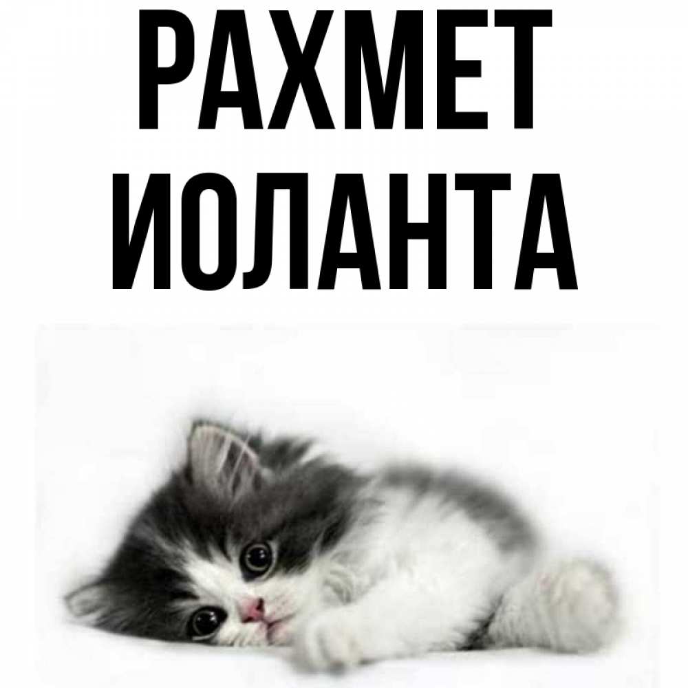 Күн сайын ашық хат с именем, Иоланта рахмет черный и белый кот Онлайн тегін жүктеп алу тілектері бар керемет карта 