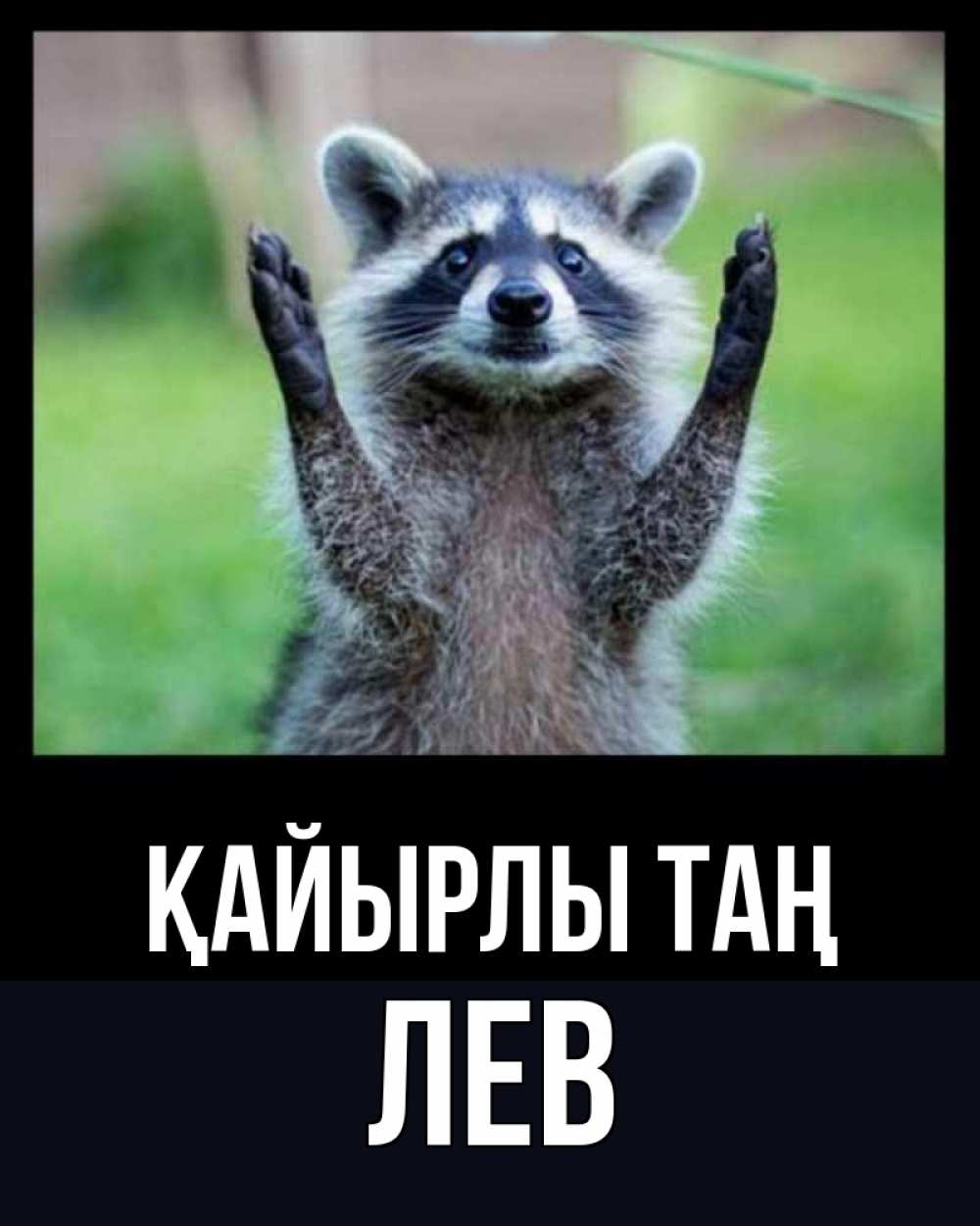 Күн сайын ашық хат с именем, Лев Қайырлы таң хорошее настроение утречком Онлайн тегін жүктеп алу тілектері бар керемет карта 