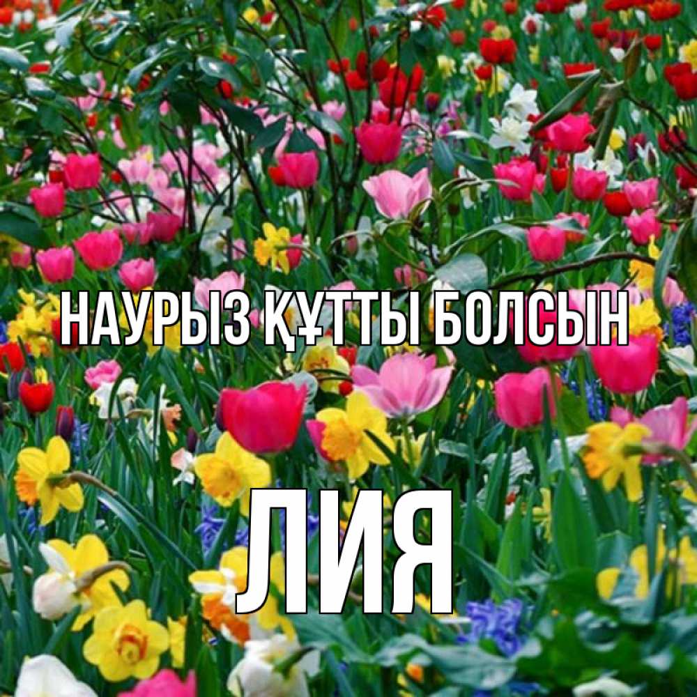Күн сайын ашық хат с именем, Лия Наурыз құтты болсын с наурызом поздравления для женщины Онлайн тегін жүктеп алу тілектері бар керемет карта 