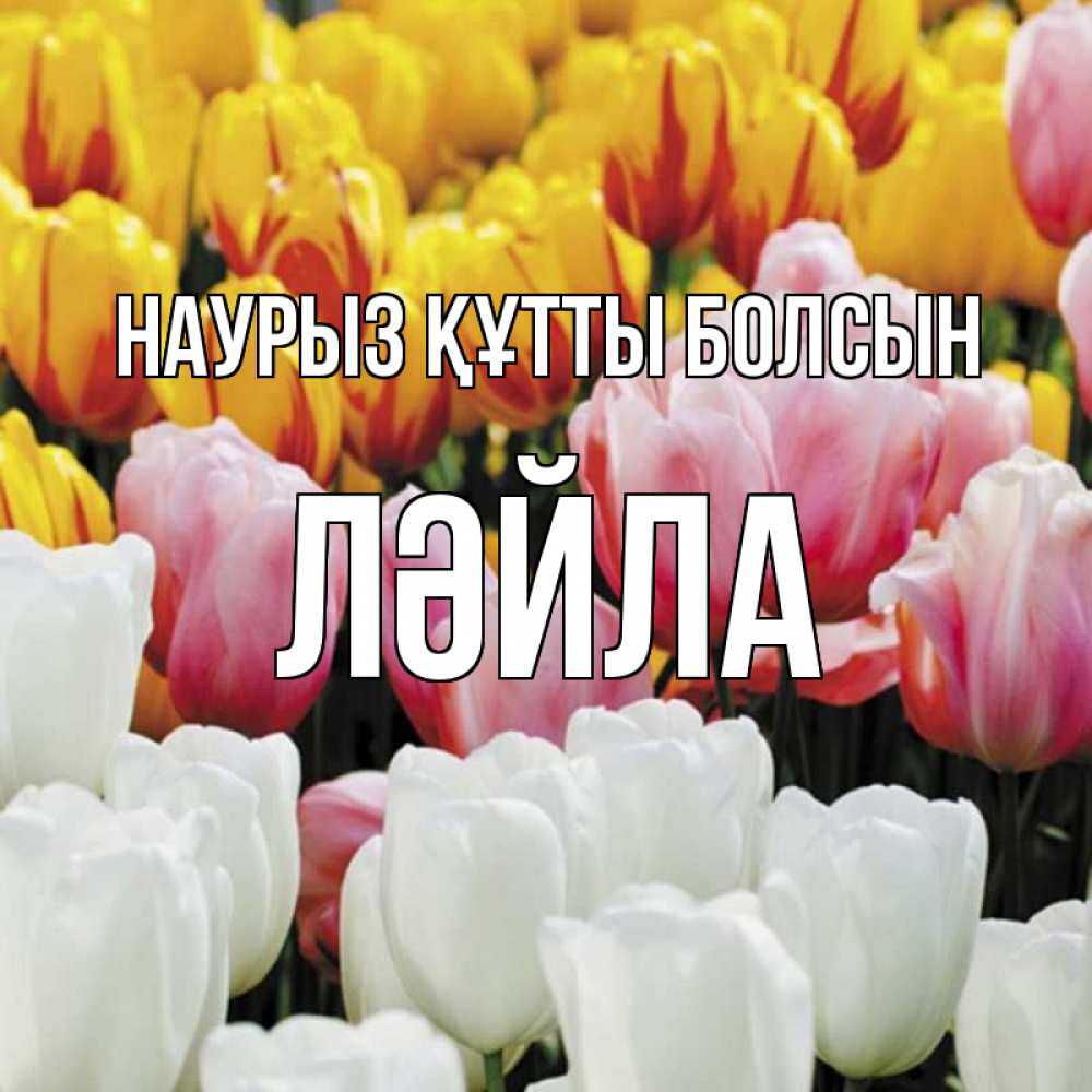 Күн сайын ашық хат с именем, ЛӘЙЛА Наурыз құтты болсын разноцветные цветы Онлайн тегін жүктеп алу тілектері бар керемет карта 