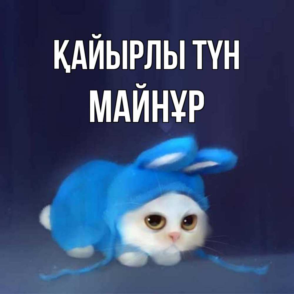 Күн сайын ашық хат с именем, МАЙНҰР Қайырлы түн кот в голубом костюме кролика с ушками Онлайн тегін жүктеп алу тілектері бар керемет карта 