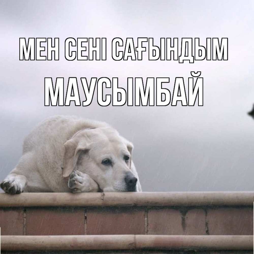 Күн сайын ашық хат с именем, МАУСЫМБАЙ Мен сені сағындым ждет Онлайн тегін жүктеп алу тілектері бар керемет карта 