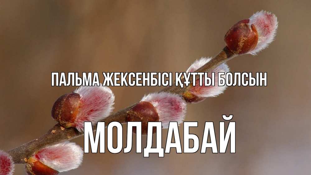 Күн сайын ашық хат с именем, МОЛДАБАЙ Пальма жексенбісі құтты болсын верба Онлайн тегін жүктеп алу тілектері бар керемет карта 