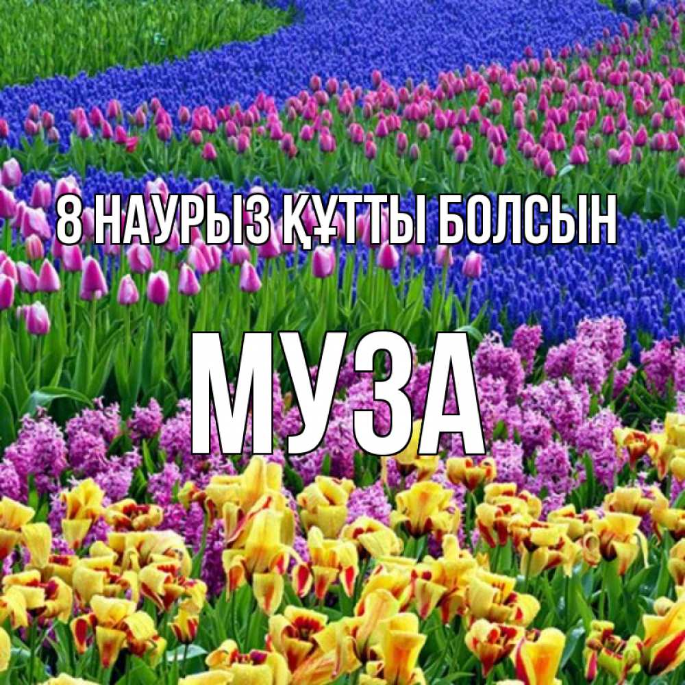 Күн сайын ашық хат с именем, Муза 8 наурыз құтты болсын цветы Онлайн тегін жүктеп алу тілектері бар керемет карта 