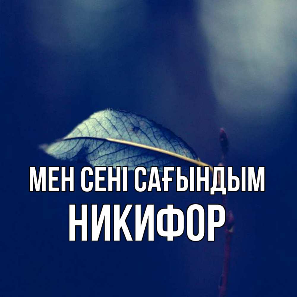 Күн сайын ашық хат с именем, Никифор Мен сені сағындым одна ветка 1 Онлайн тегін жүктеп алу тілектері бар керемет карта 