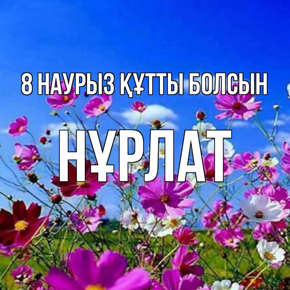 Күн сайын ашық хат с именем, НҰРЛАТ 8 наурыз құтты болсын цветы Онлайн тегін жүктеп алу тілектері бар керемет карта 
