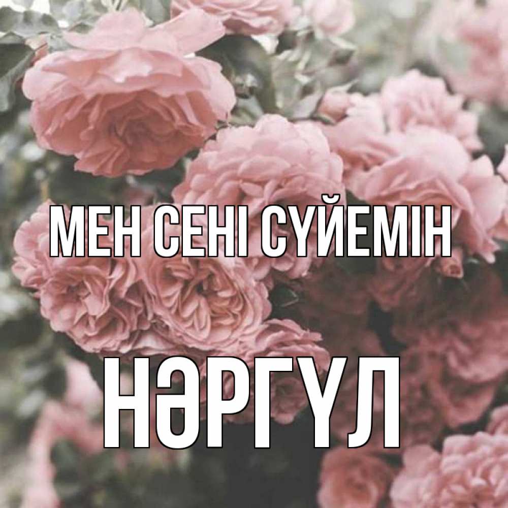 Күн сайын ашық хат с именем, НӘРГҮЛ Мен сені сүйемін розы 3 Онлайн тегін жүктеп алу тілектері бар керемет карта 