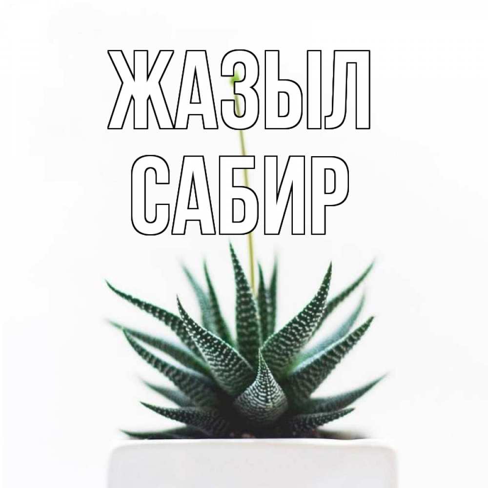 Күн сайын ашық хат с именем, Сабир Жазыл короче это непонятная колючка Онлайн тегін жүктеп алу тілектері бар керемет карта 