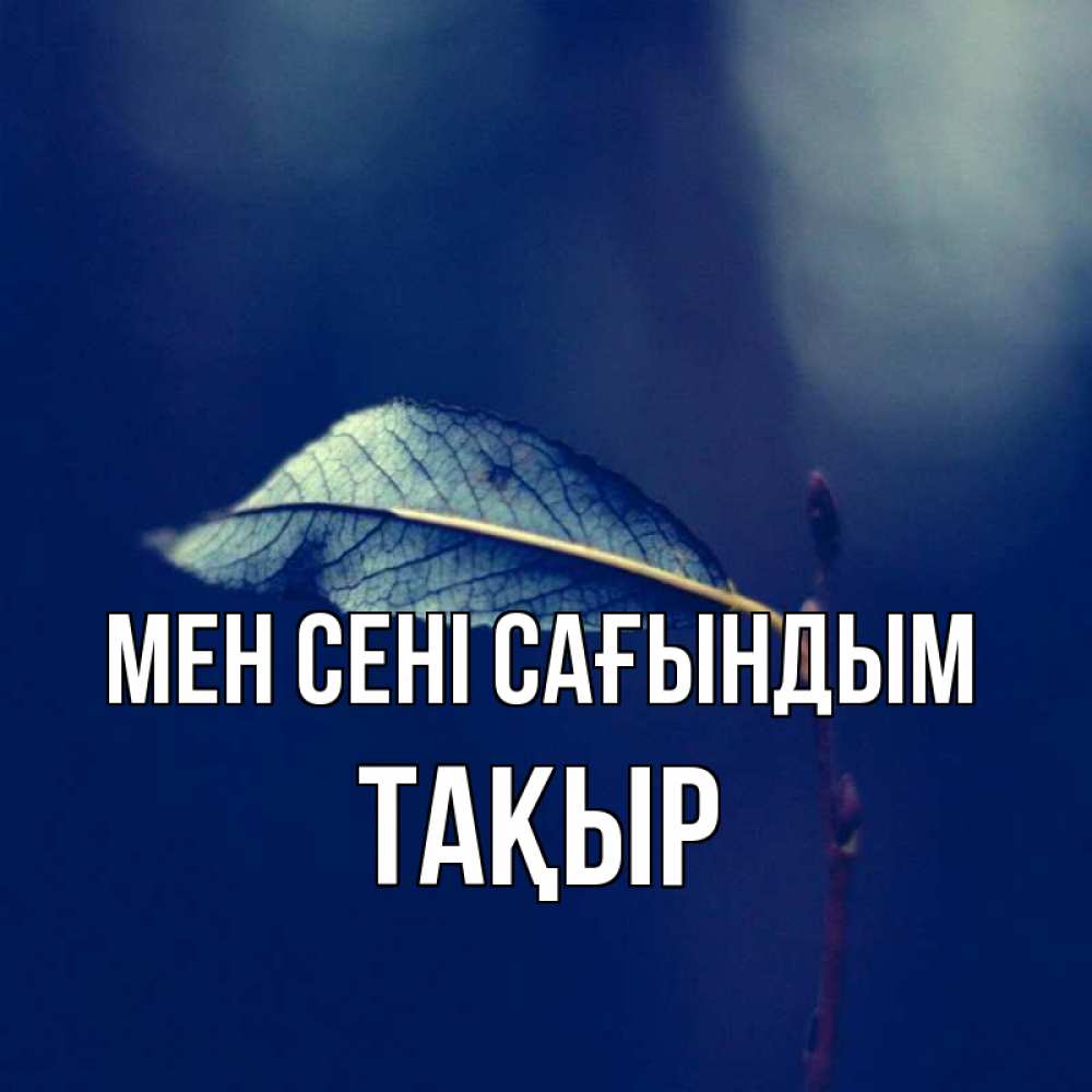 Күн сайын ашық хат с именем, ТАҚЫР Мен сені сағындым одна ветка 1 Онлайн тегін жүктеп алу тілектері бар керемет карта 