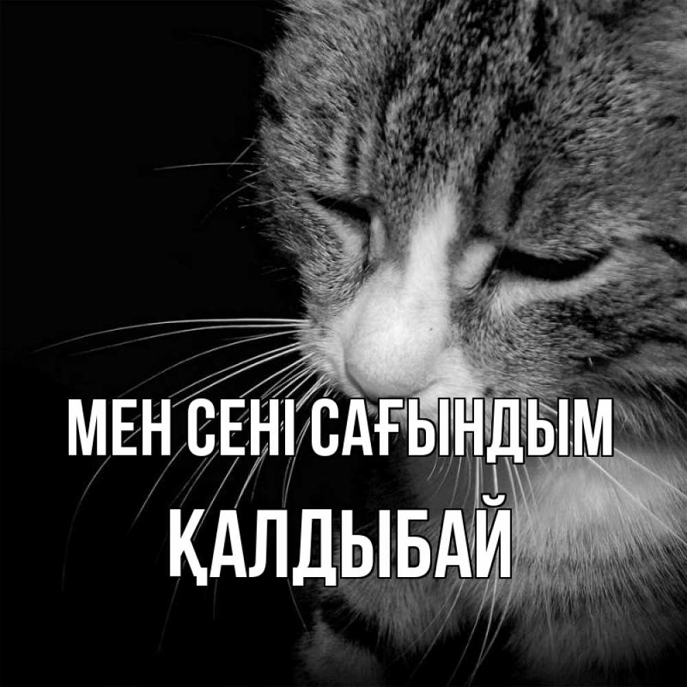 Күн сайын ашық хат с именем, Қалдыбай Мен сені сағындым мне скучно Онлайн тегін жүктеп алу тілектері бар керемет карта 