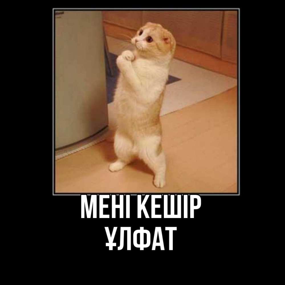 Күн сайын ашық хат с именем, ҰЛФАТ Мені кешір открытка с милым несчастным котиком просящим прощения Онлайн тегін жүктеп алу тілектері бар керемет карта 