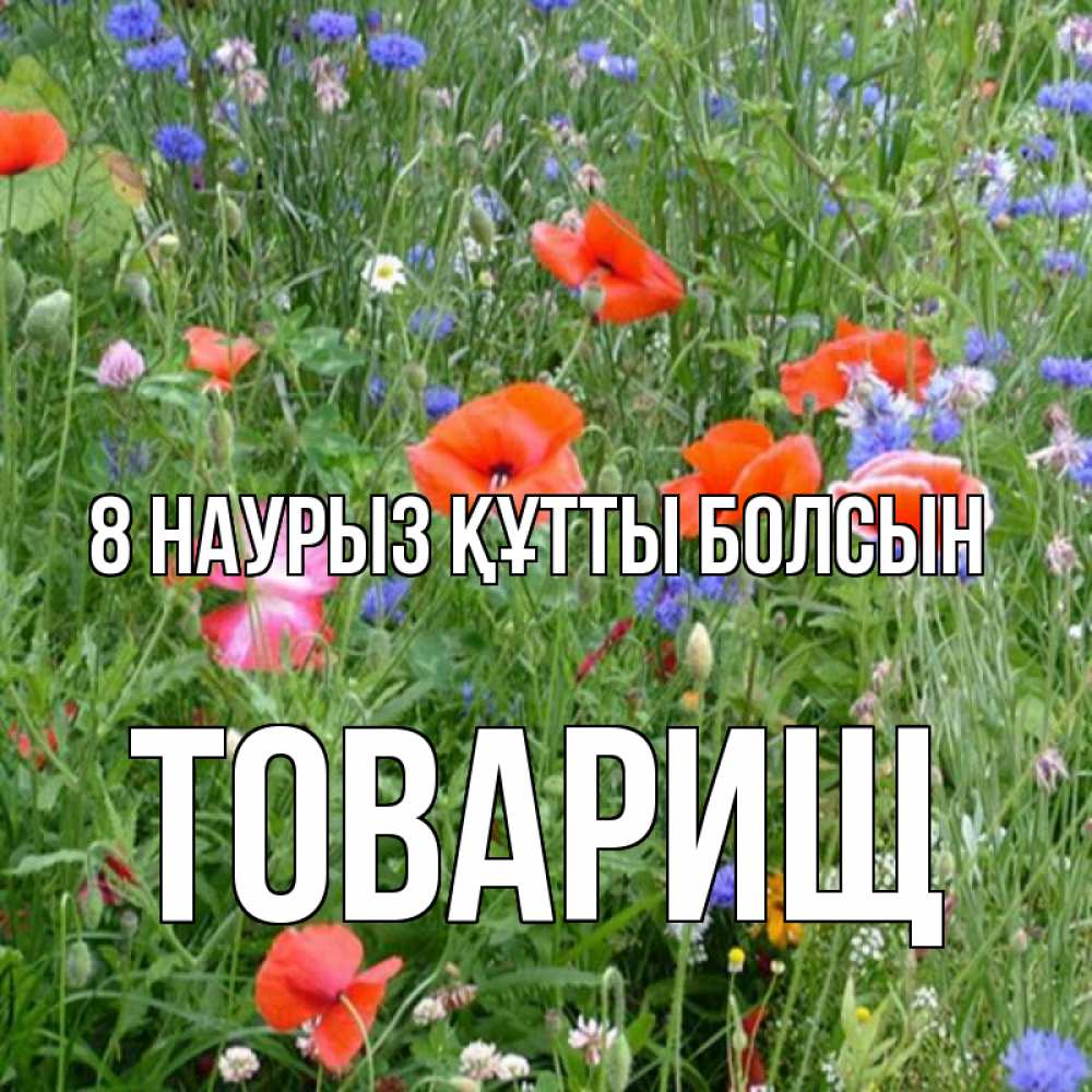 Күн сайын ашық хат с именем, Товарищ 8 наурыз құтты болсын международный женский день 4 Онлайн тегін жүктеп алу тілектері бар керемет карта 