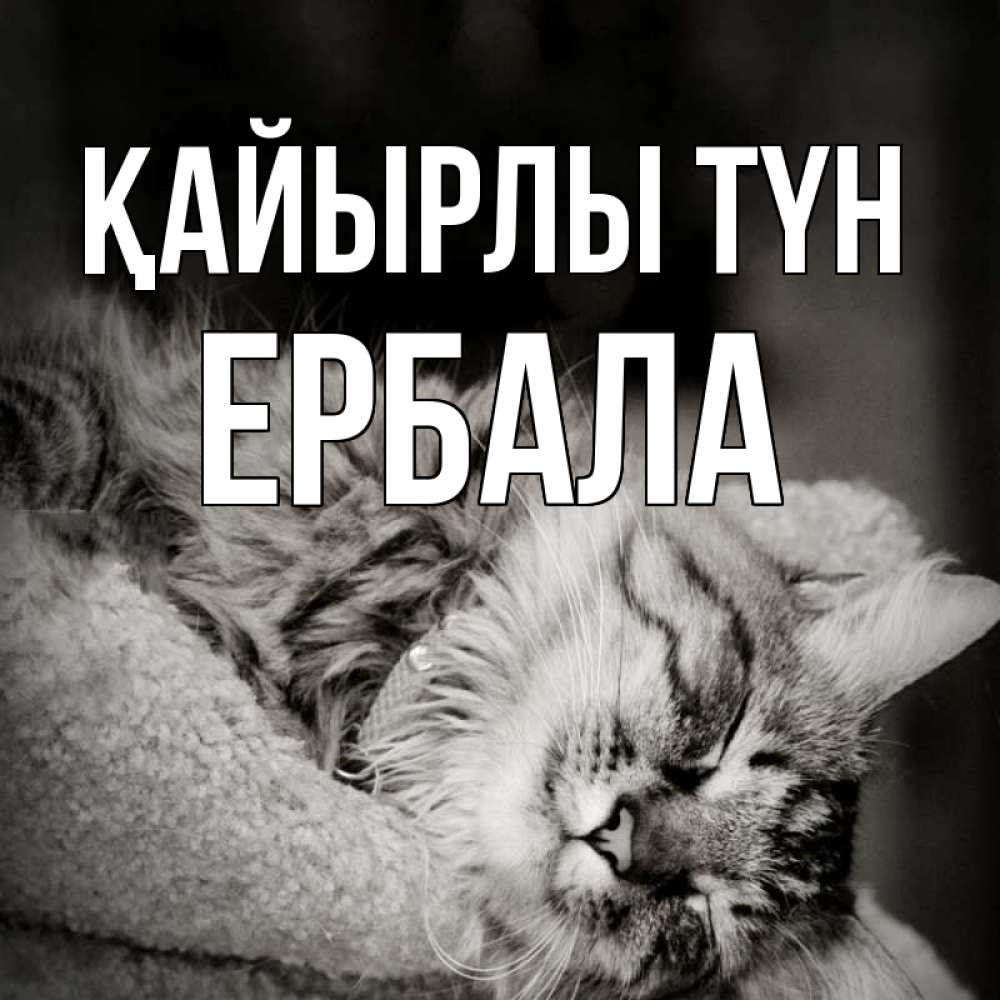 Күн сайын ашық хат с именем, Ербала Қайырлы түн котярик пушистый Онлайн тегін жүктеп алу тілектері бар керемет карта 