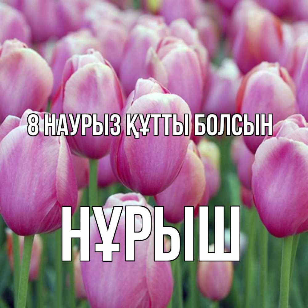 Күн сайын ашық хат с именем, Нұрыш 8 наурыз құтты болсын на международный женский день 3 Онлайн тегін жүктеп алу тілектері бар керемет карта 