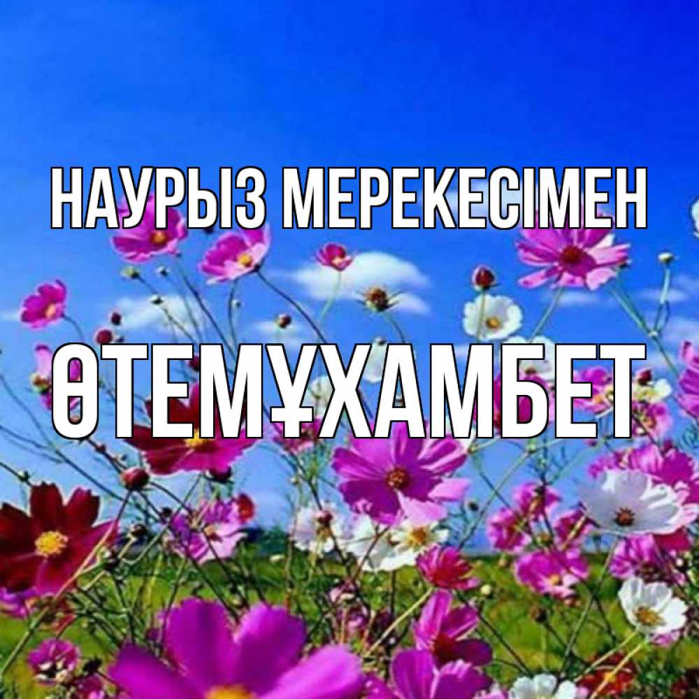 Күн сайын ашық хат с именем, ӨТЕМҰХАМБЕТ Наурыз мерекесімен цветы Онлайн тегін жүктеп алу тілектері бар керемет карта 