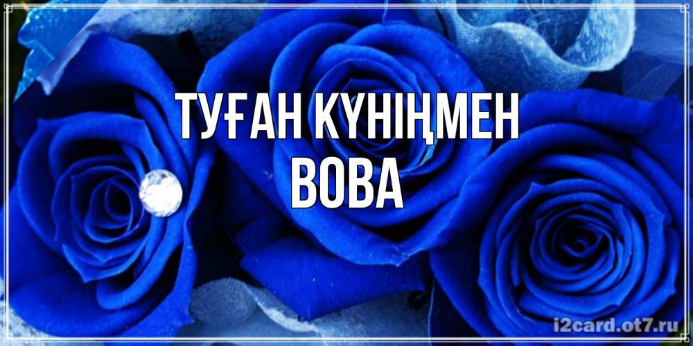Күн сайын ашық хат с именем, Вова Туған күніңмен синие розы в росе Онлайн тегін жүктеп алу тілектері бар керемет карта 