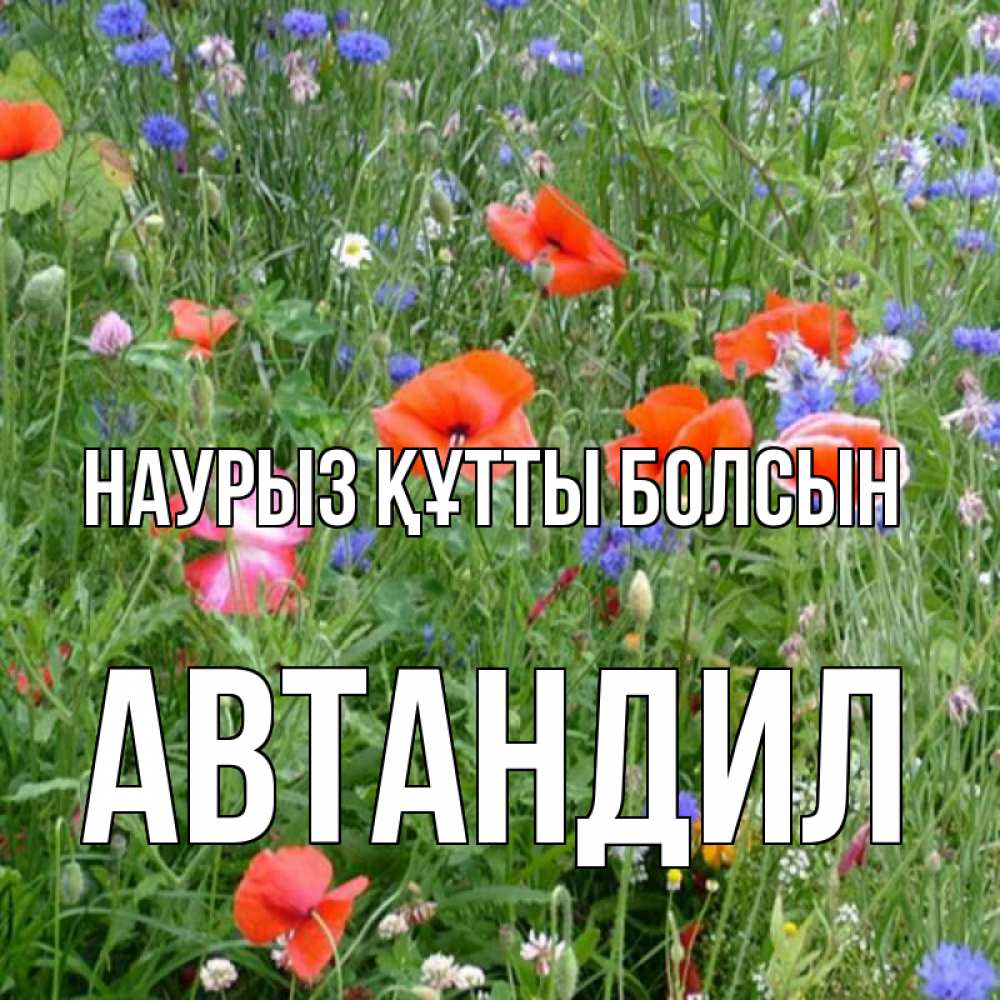 Күн сайын ашық хат с именем, Автандил Наурыз құтты болсын наурыз  4 Онлайн тегін жүктеп алу тілектері бар керемет карта 