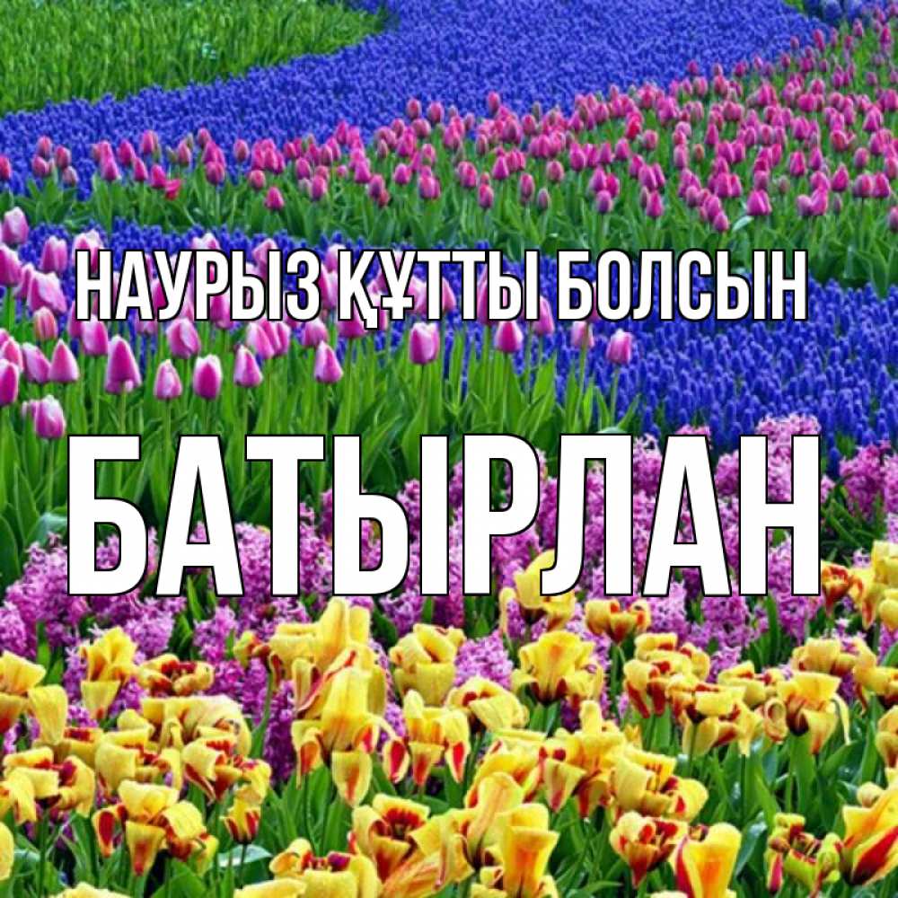 Күн сайын ашық хат с именем, Батырлан Наурыз құтты болсын цветы Онлайн тегін жүктеп алу тілектері бар керемет карта 