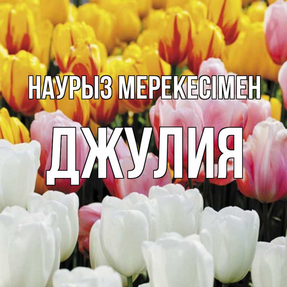 Күн сайын ашық хат с именем, Джулия Наурыз мерекесімен разноцветные цветы Онлайн тегін жүктеп алу тілектері бар керемет карта 